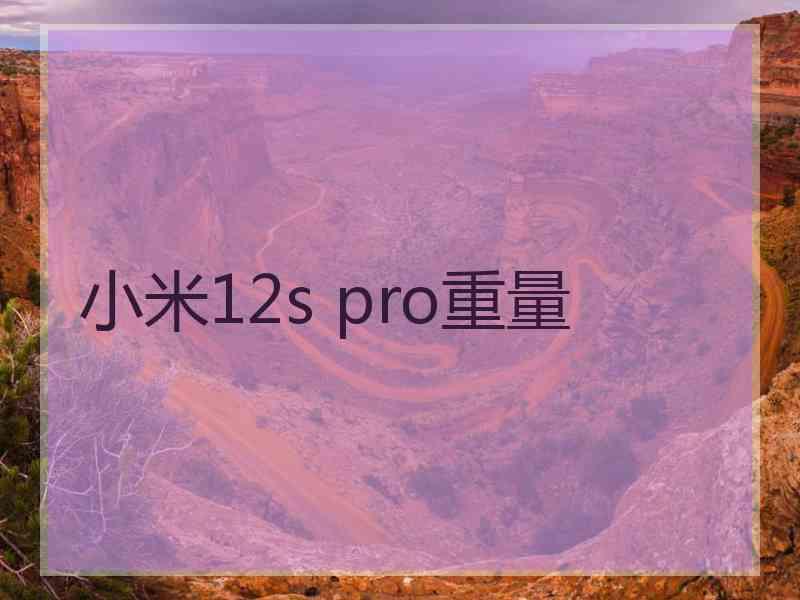 小米12s pro重量