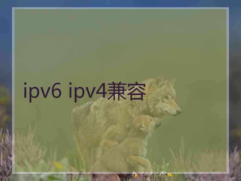 ipv6 ipv4兼容