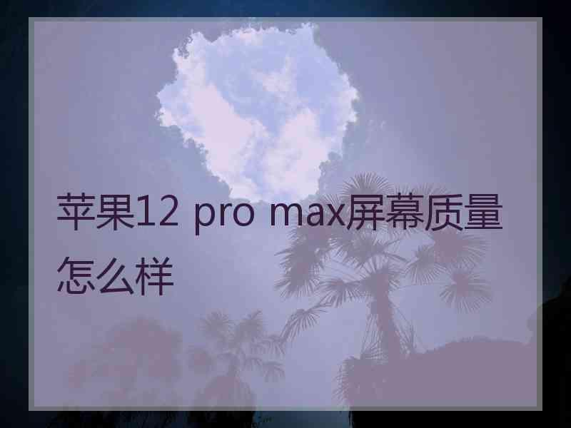 苹果12 pro max屏幕质量怎么样