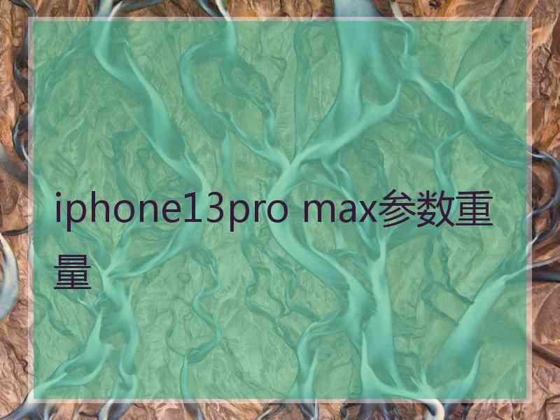 iphone13pro max参数重量