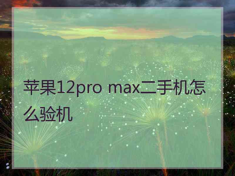 苹果12pro max二手机怎么验机