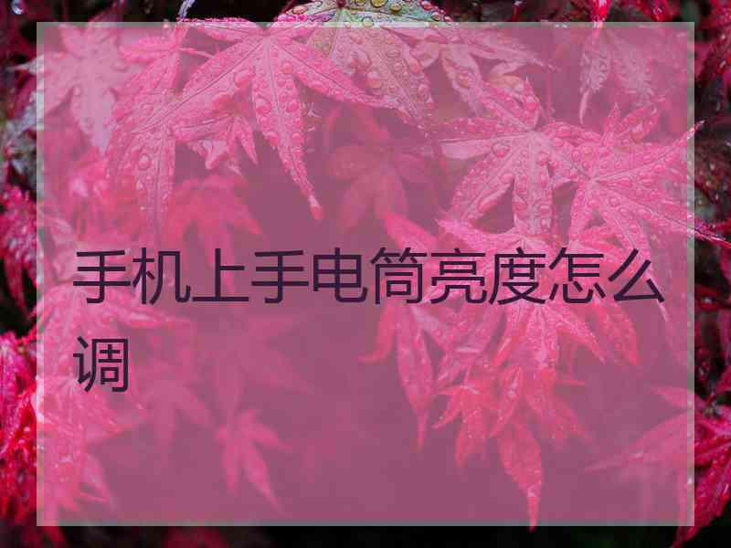 手机上手电筒亮度怎么调