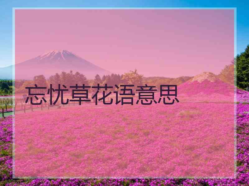 忘忧草花语意思