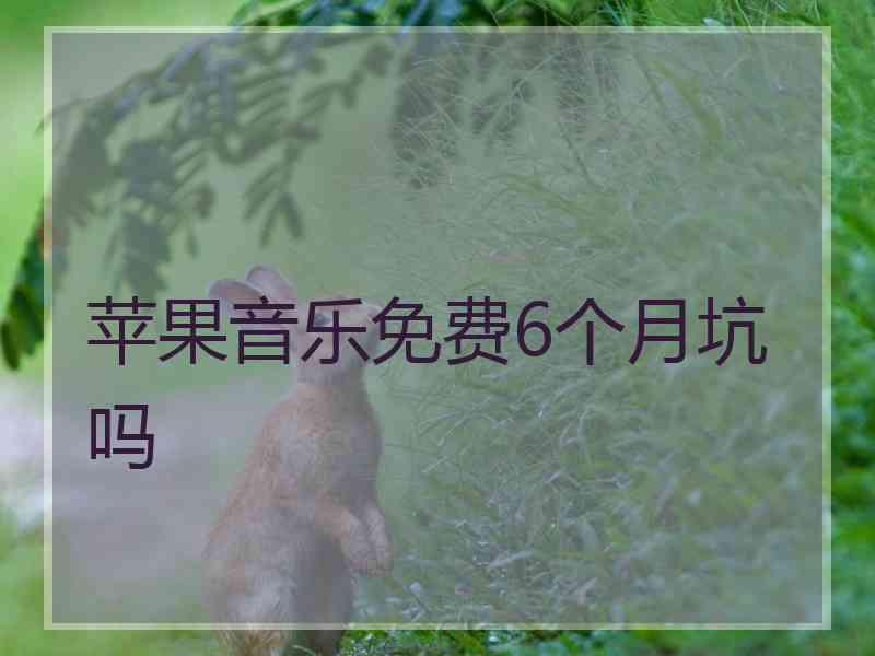 苹果音乐免费6个月坑吗