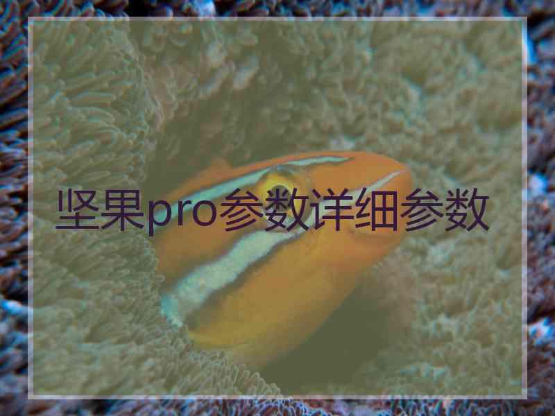 坚果pro参数详细参数