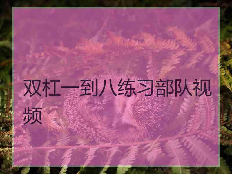 双杠一到八练习部队视频