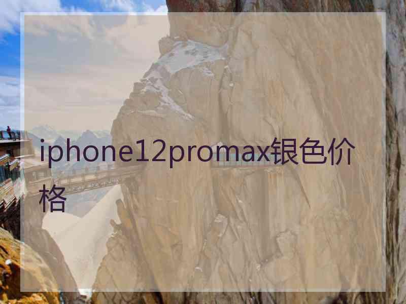 iphone12promax银色价格