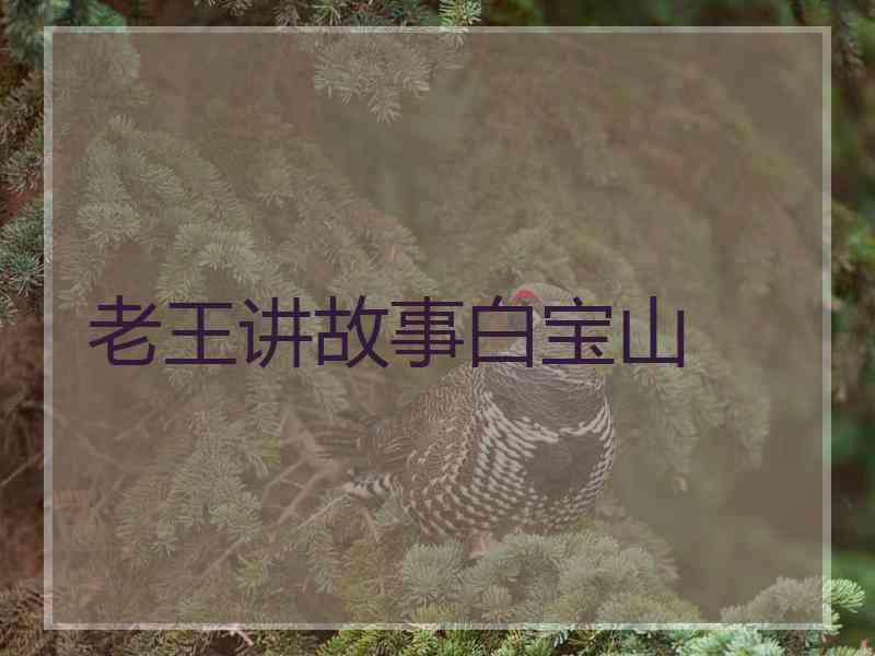 老王讲故事白宝山