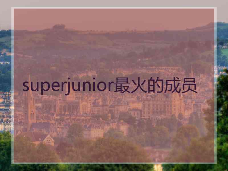 superjunior最火的成员