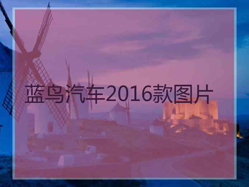 蓝鸟汽车2016款图片