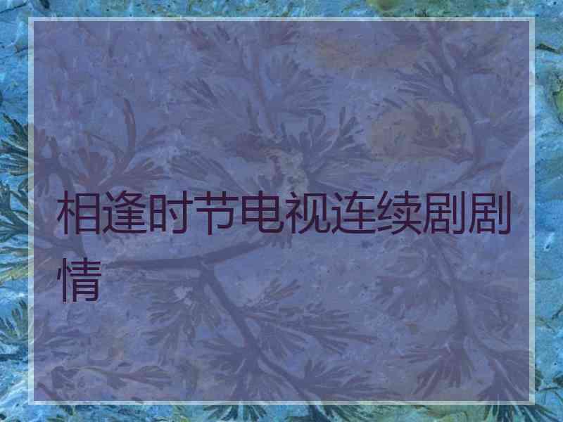 相逢时节电视连续剧剧情