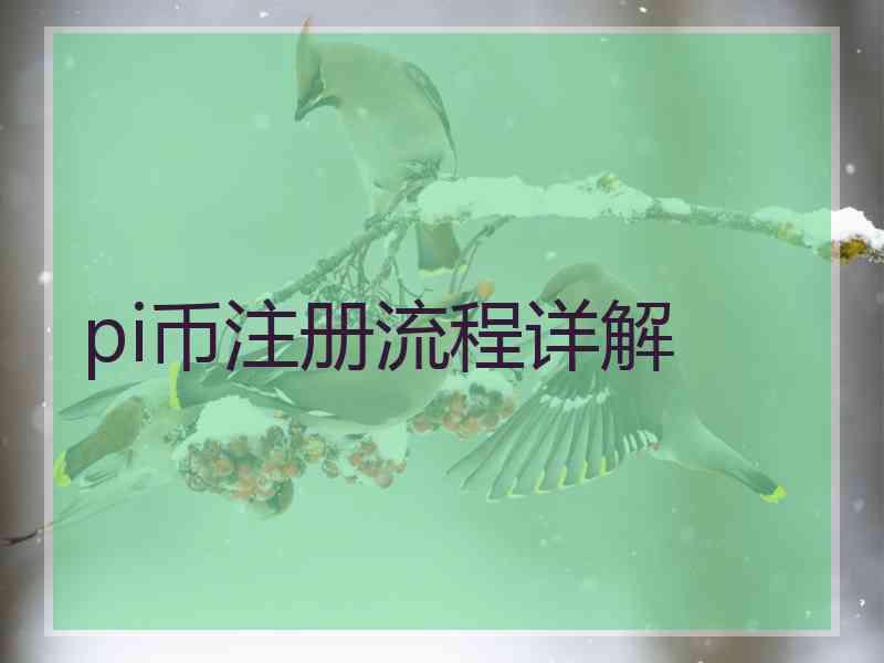 pi币注册流程详解