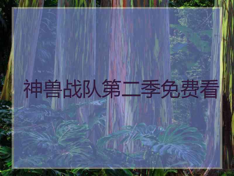 神兽战队第二季免费看