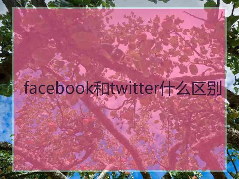 facebook和twitter什么区别