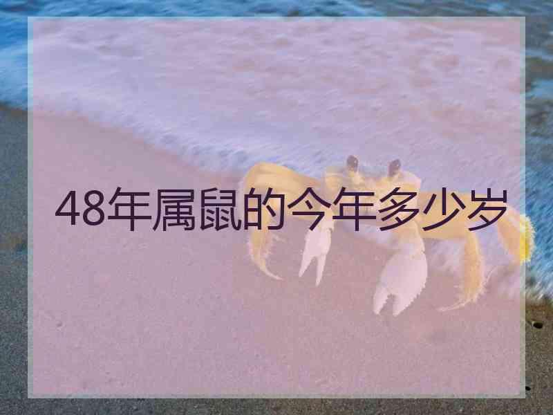 48年属鼠的今年多少岁