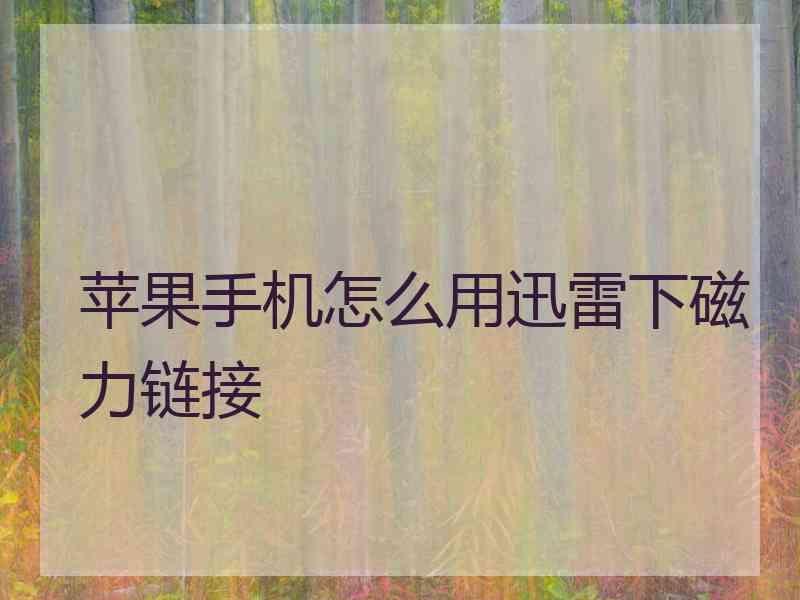 苹果手机怎么用迅雷下磁力链接