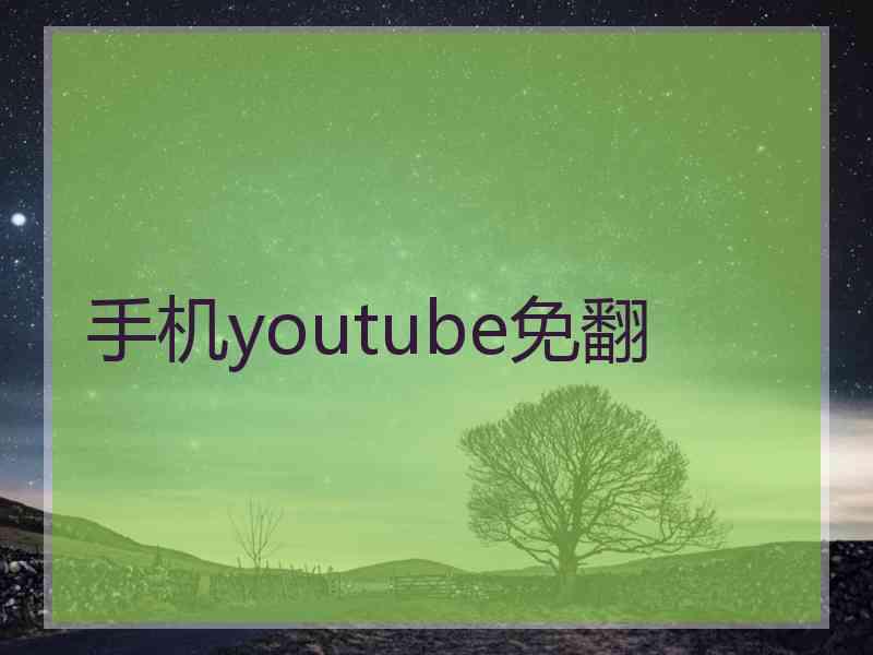 手机youtube免翻