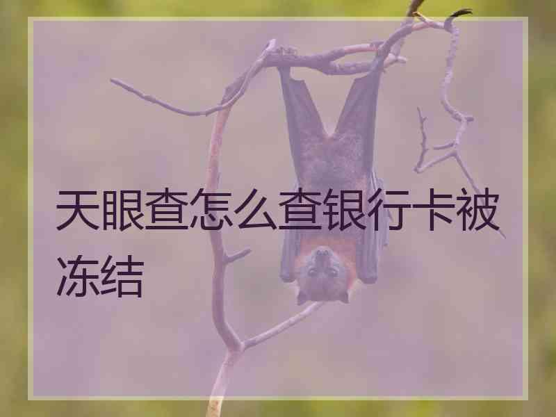 天眼查怎么查银行卡被冻结