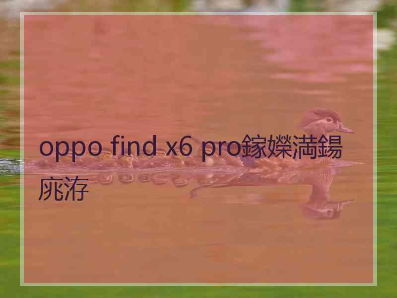 oppo find x6 pro鎵嬫満鍚庣洊