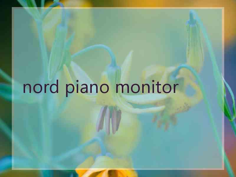 nord piano monitor