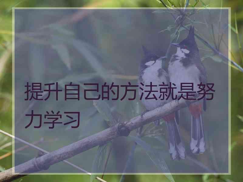 提升自己的方法就是努力学习