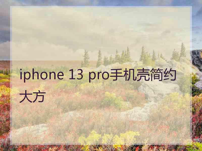 iphone 13 pro手机壳简约大方