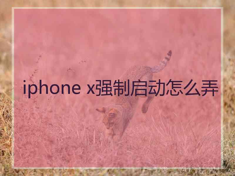 iphone x强制启动怎么弄