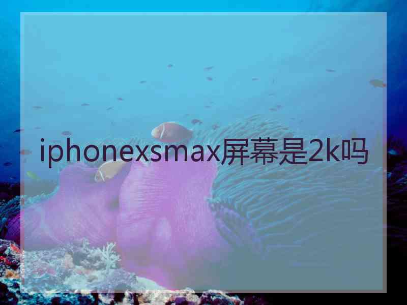 iphonexsmax屏幕是2k吗