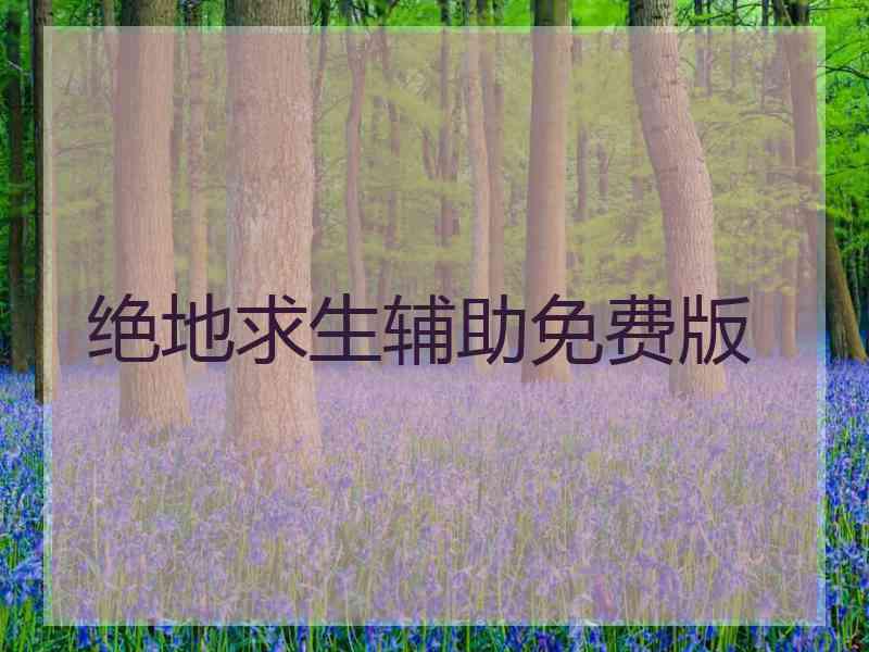 绝地求生辅助免费版