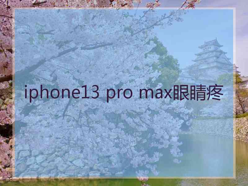 iphone13 pro max眼睛疼