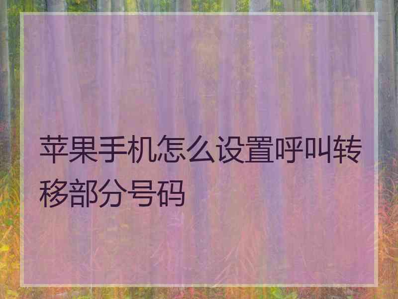 苹果手机怎么设置呼叫转移部分号码