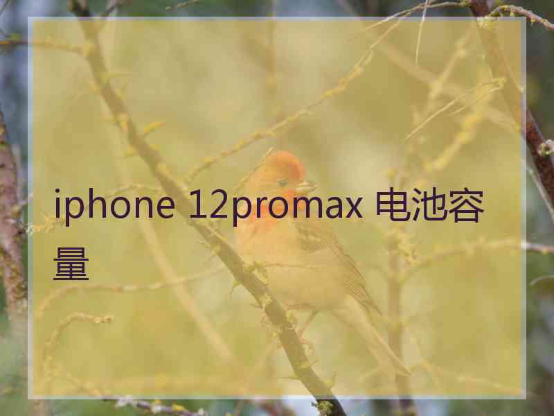 iphone 12promax 电池容量