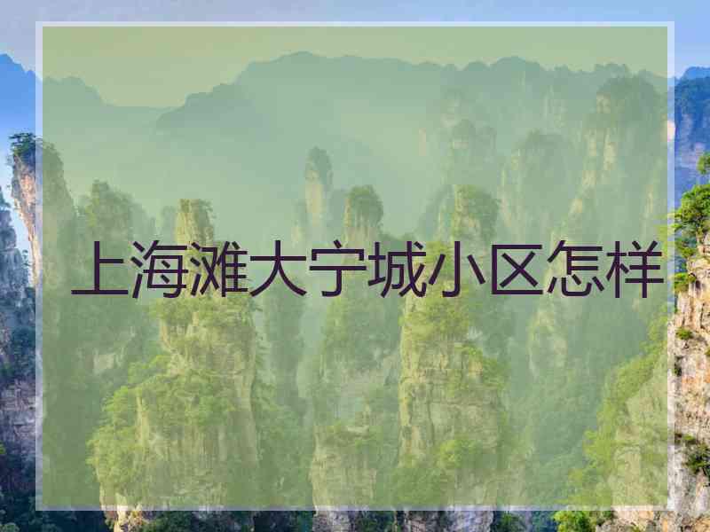 上海滩大宁城小区怎样