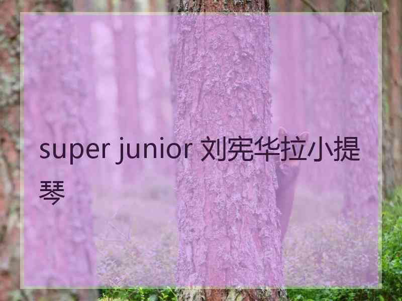 super junior 刘宪华拉小提琴