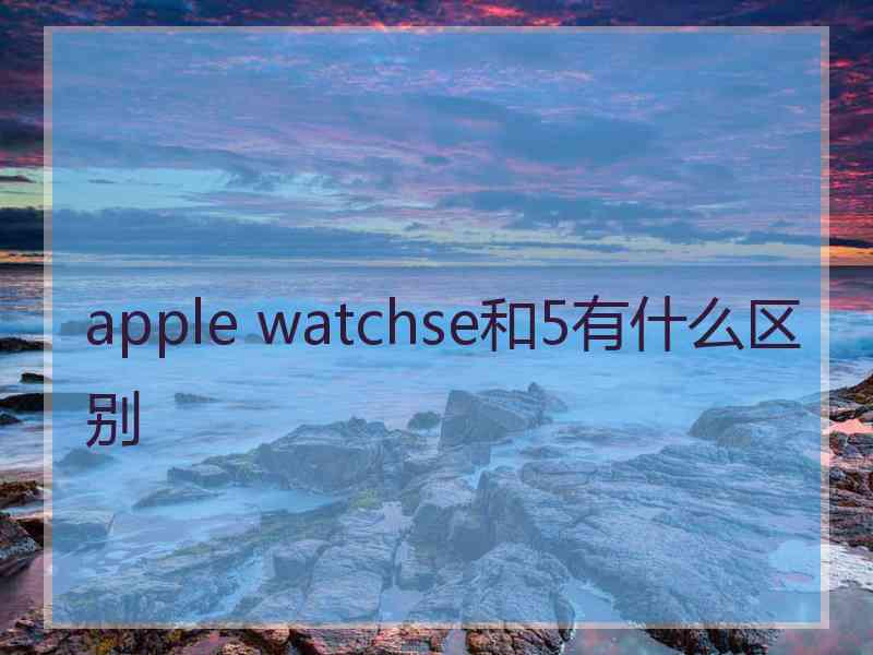 apple watchse和5有什么区别