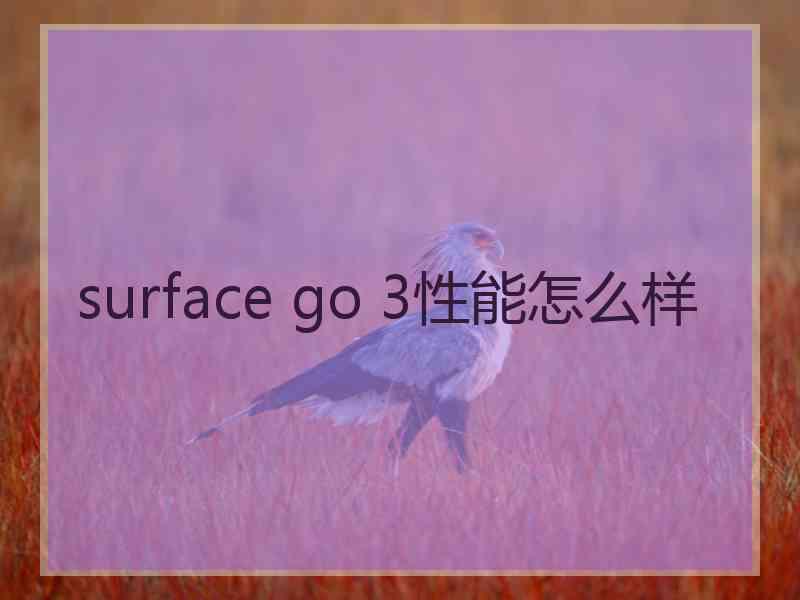 surface go 3性能怎么样