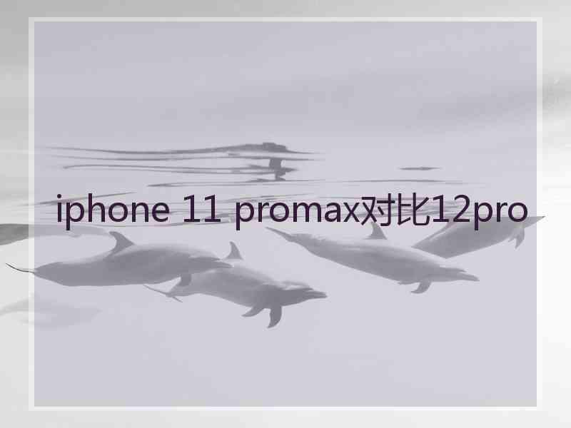 iphone 11 promax对比12pro