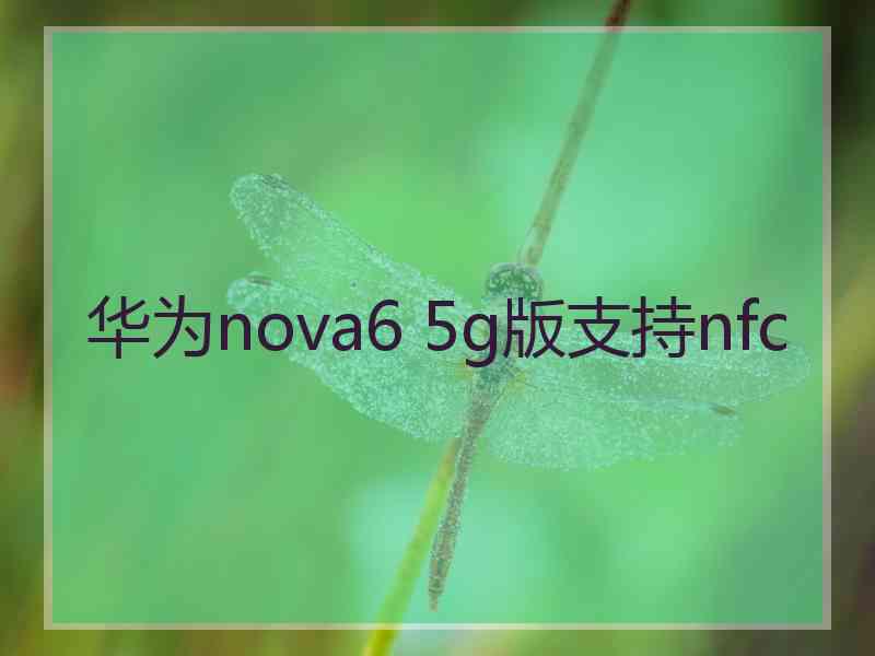 华为nova6 5g版支持nfc