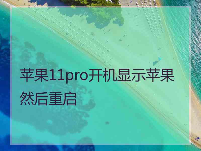 苹果11pro开机显示苹果然后重启