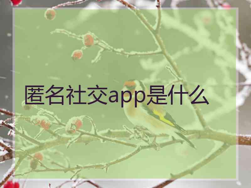 匿名社交app是什么