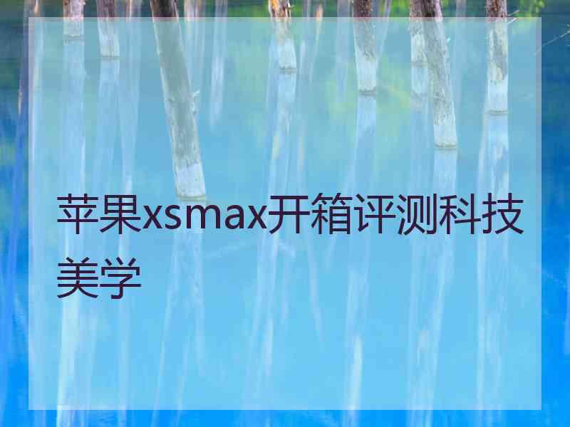 苹果xsmax开箱评测科技美学