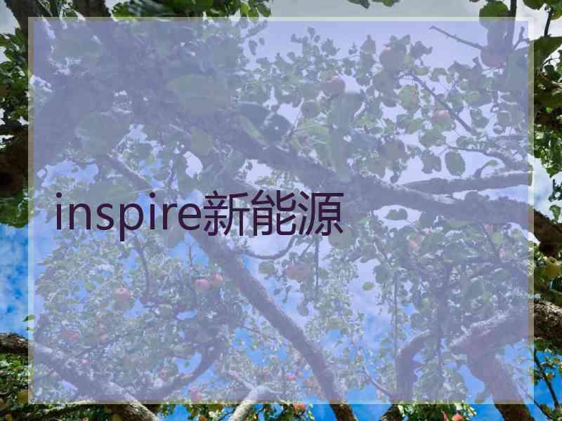 inspire新能源