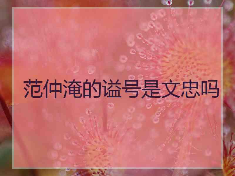 范仲淹的谥号是文忠吗