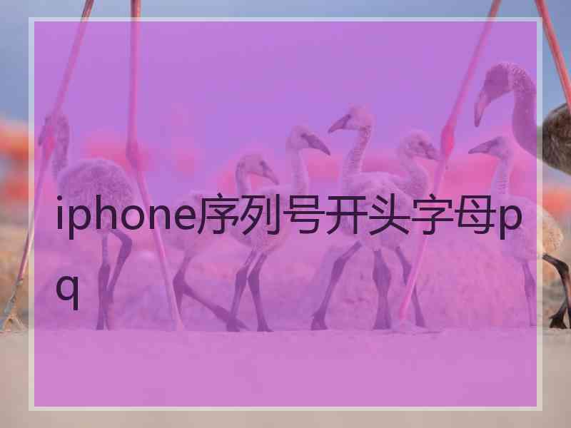 iphone序列号开头字母pq