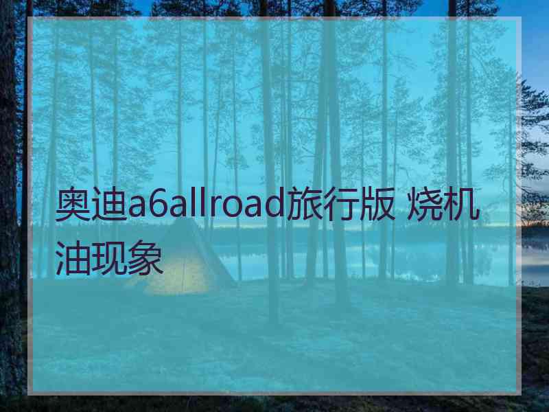 奥迪a6allroad旅行版 烧机油现象