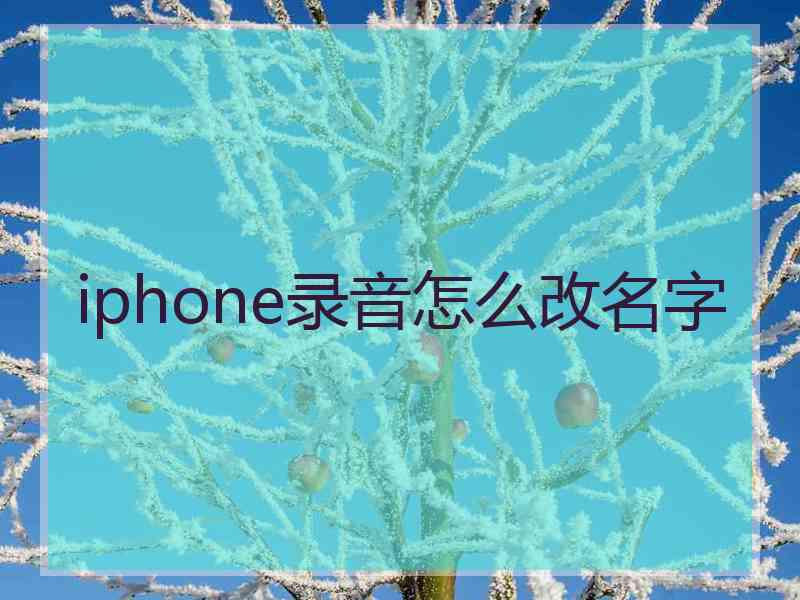 iphone录音怎么改名字