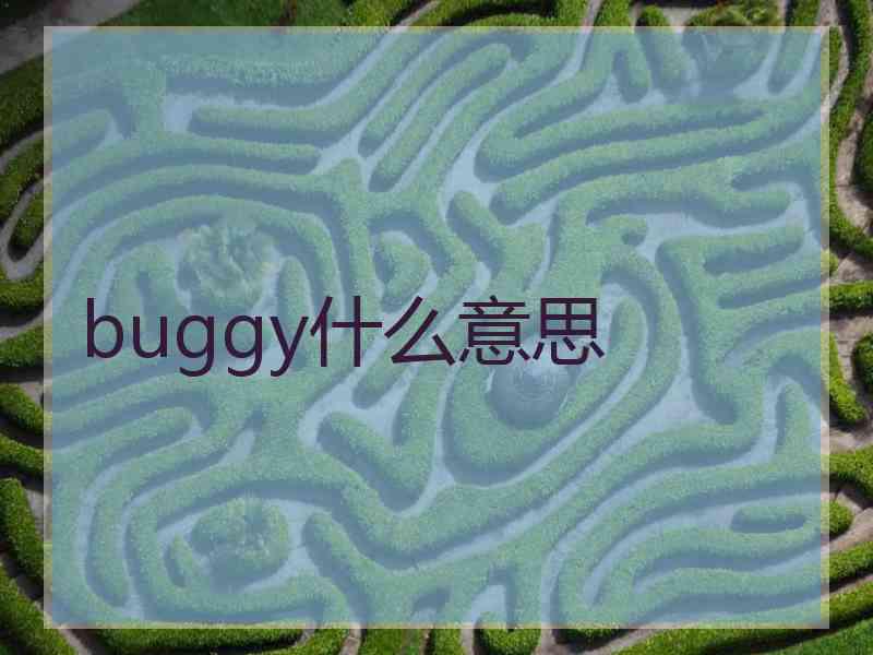 buggy什么意思