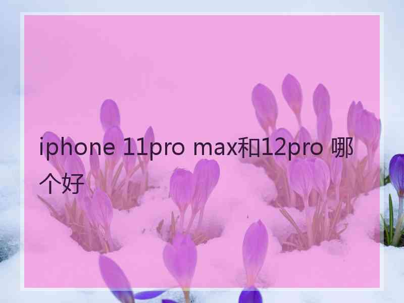 iphone 11pro max和12pro 哪个好