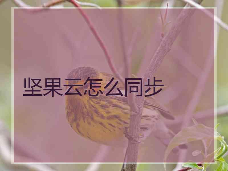 坚果云怎么同步