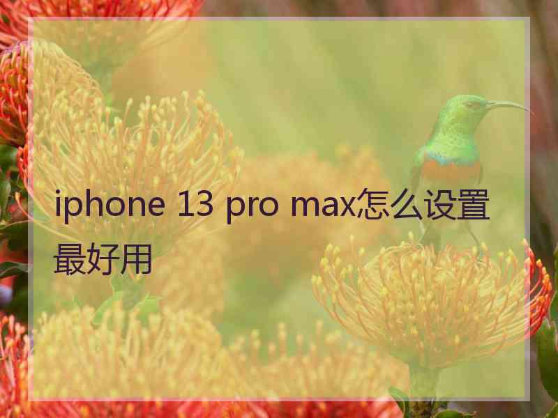 iphone 13 pro max怎么设置最好用